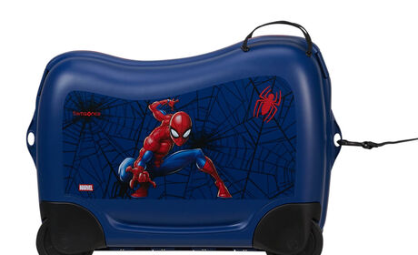 Multifunctional leash