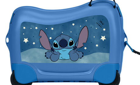 Multifunctional leash