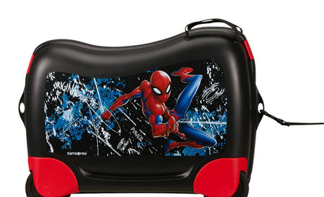 Multifunctional leash