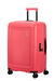 American Tourister Dashpop Nelipyöräinen matkalaukku 67cm Sugar Pink