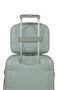 Dreami Beauty case