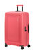 American Tourister Dashpop Nelipyöräinen matkalaukku 77cm Sugar Pink
