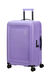 American Tourister Dashpop Nelipyöräinen matkalaukku 67cm Violet Purple