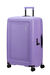 American Tourister Dashpop Nelipyöräinen matkalaukku 77cm Violet Purple
