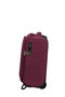Cloudrider Upright (2 wheels) S/M