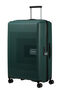 AeroStep Large Check-in