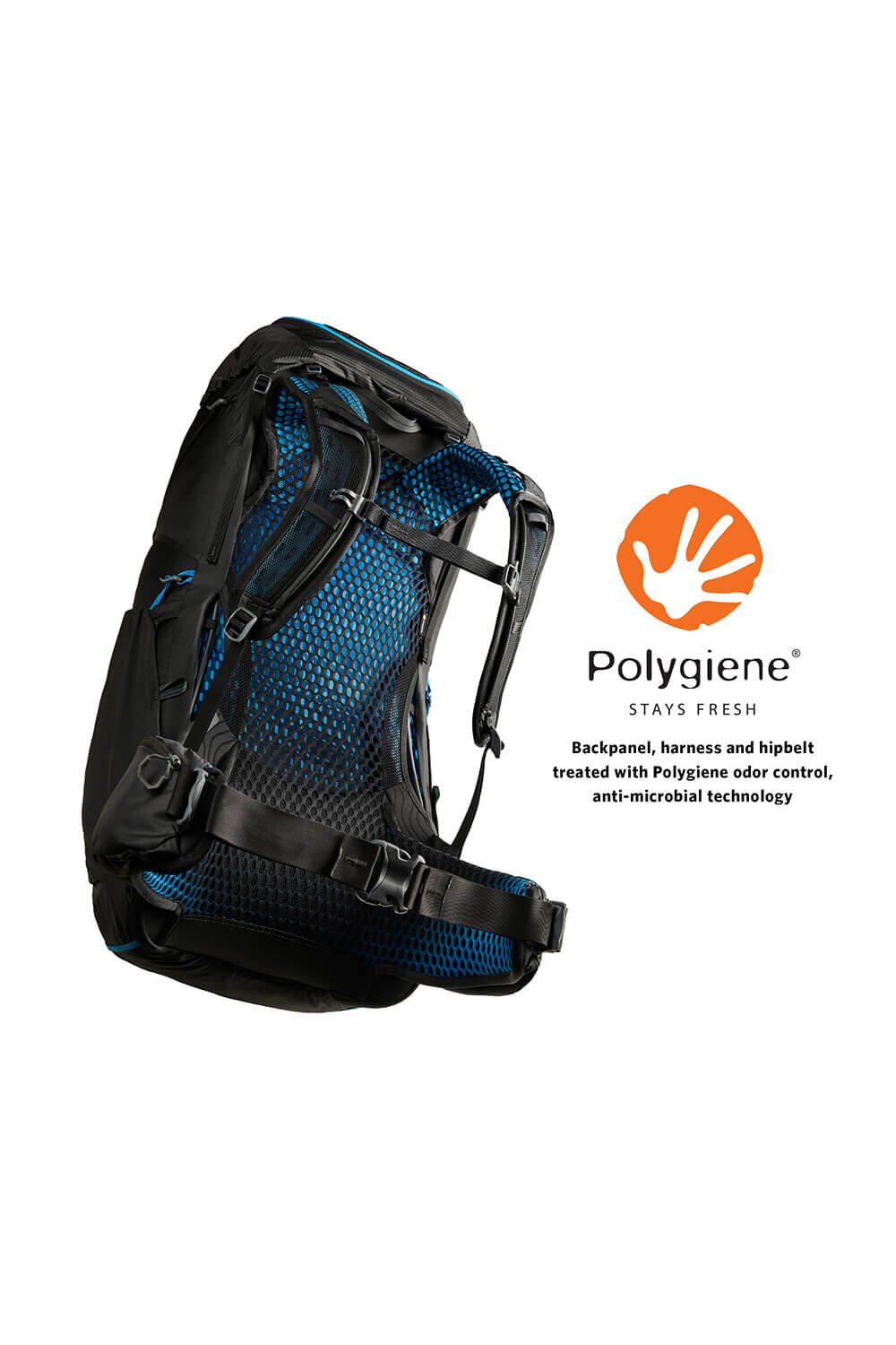 Gregory  FOCAL 38 RC M  Ozone Black