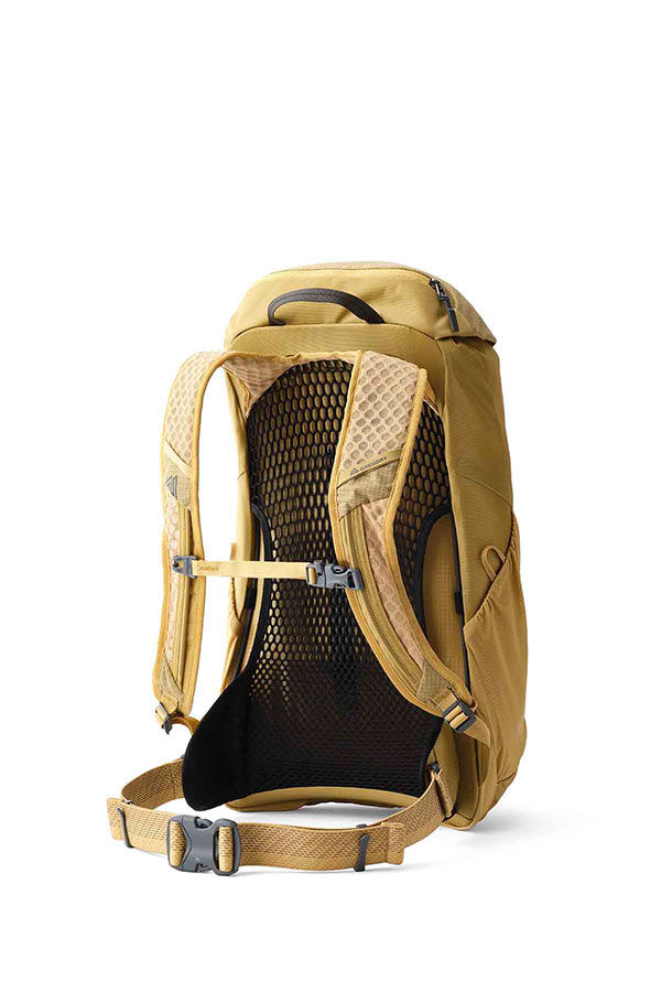 Gregory  Arrio 22 RC  Amber Haze