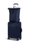 Lipault City Plume Rolltop Backpack  Navy