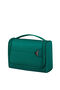Samsonite Urbify Toilet Kit  Pine Green