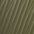 Olive Texture